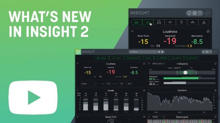 iZotope Insight Pro 2.4.0 download the new version for mac